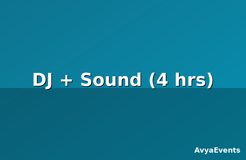 DJ + Sound (4 hrs)
